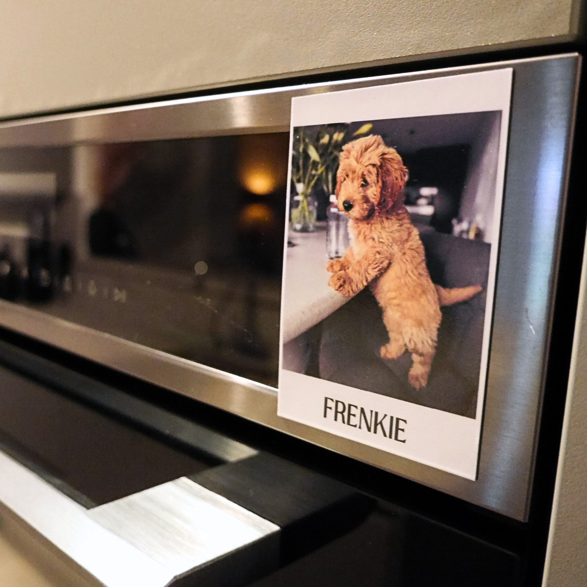 Oldschool design flexible photomagnets - Premium Fotomagneten from DUTCH. - Just €5! Shop now at DUTCH.